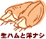 生ハムと洋ナシ・イラスト