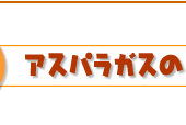 アスパラガスのリゾット簡単レシピ