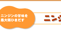 ニンジンムース簡単レシピ