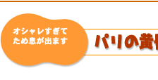 オシャレすぎてため息が出ます