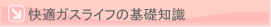 ���K�K�X���C�t�̊�b�m��