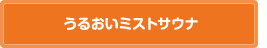 うるおいミストサウナ