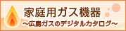 �ƒ�p�K�X�@��`�L���K�X�̃f�W�^���J�^���O�`
