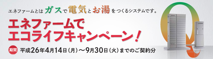 プラチナポイント