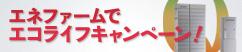 プラチナポイント