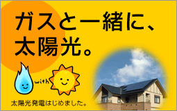 �K�X�ƈꏏ�ɁA���z���B