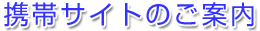 �g�уT�C�g�̂��ē�