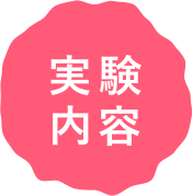 実験内容