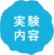 実験内容