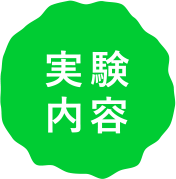 実験内容
