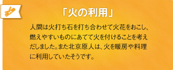 「火の利用」人間は火打ち石を打ち合わせて火花をおこし、燃えやすいものにあてて火を付けることを考えだしました。また北京原人は、火を暖房や料理に利用していたそうです。