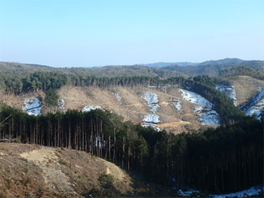 神石高原の森(石屋山)国有林