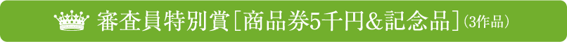 審査員特別賞［賞金3万円］（2作品）