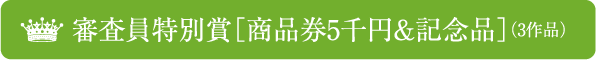 審査員特別賞［賞金3万円］（2作品）