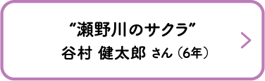 “瀬野川のサクラ”　谷村 健太郎 さん （6年）