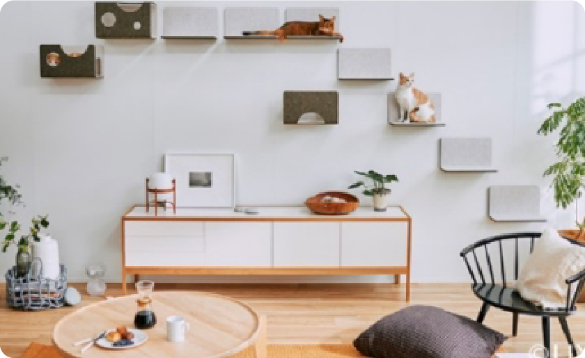 ペットリフォーム