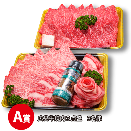 A賞/広島牛焼肉3点盛 3名様