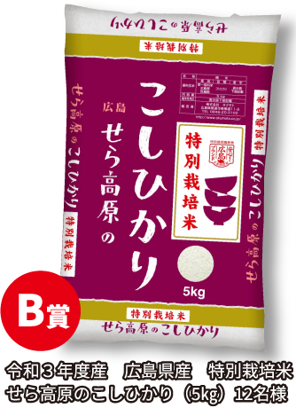 B賞/令和3年度産　広島県産　特別栽培米せら高原のこしひかり（5㎏）12名様