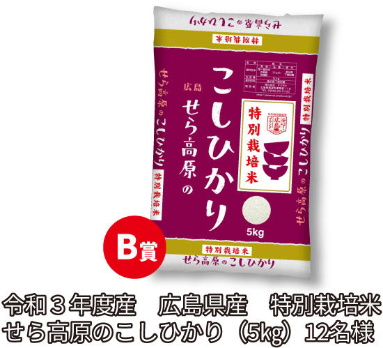 B賞/令和3年度産　広島県産　特別栽培米せら高原のこしひかり（5㎏）12名様