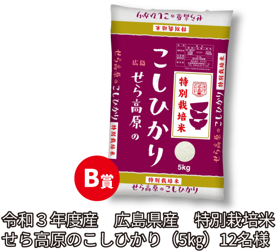 B賞/令和3年度産 広島県産 特別栽培米せら高原のこしひかり(5㎏)12名様